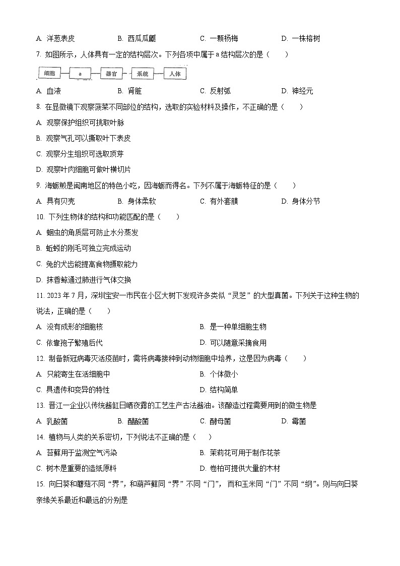 福建省永春第一中学2023-2024学年八年级下学期期中生物试题（原卷版+解析版）02