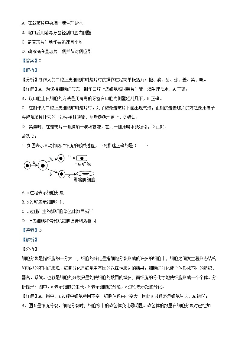 福建省永春第一中学2023-2024学年八年级下学期期中生物试题（原卷版+解析版）02