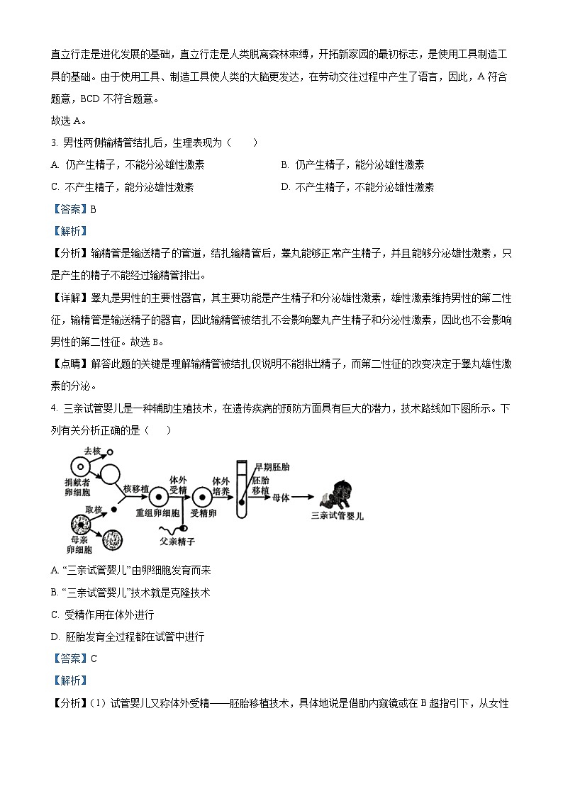 陕西省西安市新城区校园联考2023-2024学年七年级下学期期中生物试题（原卷版+解析版）02