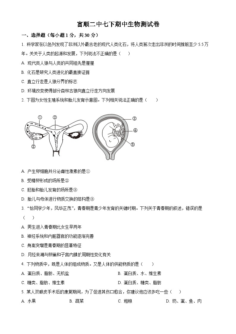 四川省自贡市富顺县富顺第二中学校2023-2024学年七年级下学期期中生物试题（原卷版）第1页