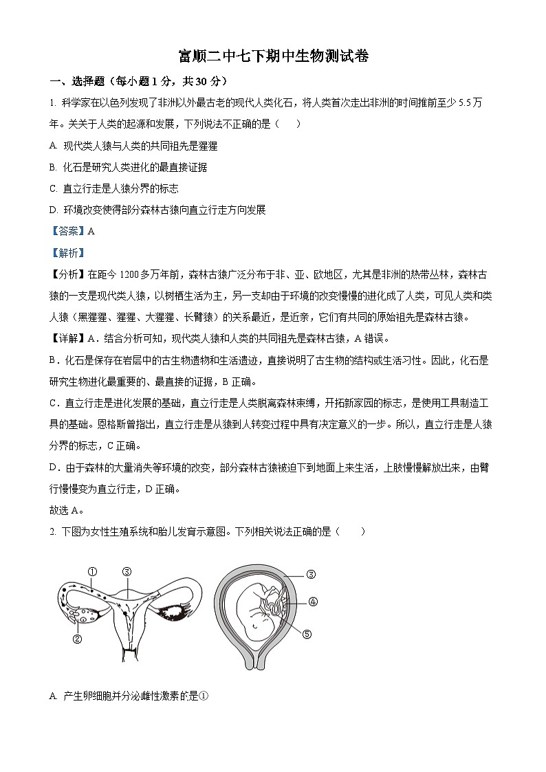四川省自贡市富顺县富顺第二中学校2023-2024学年七年级下学期期中生物试题（解析版）第1页
