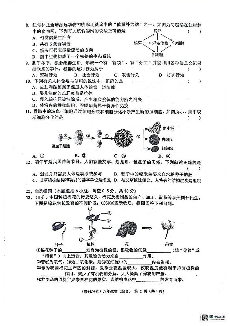 辽宁省鞍山市岫岩满族自治县2023-2024学年八年级下学期5月期中生物试题第2页