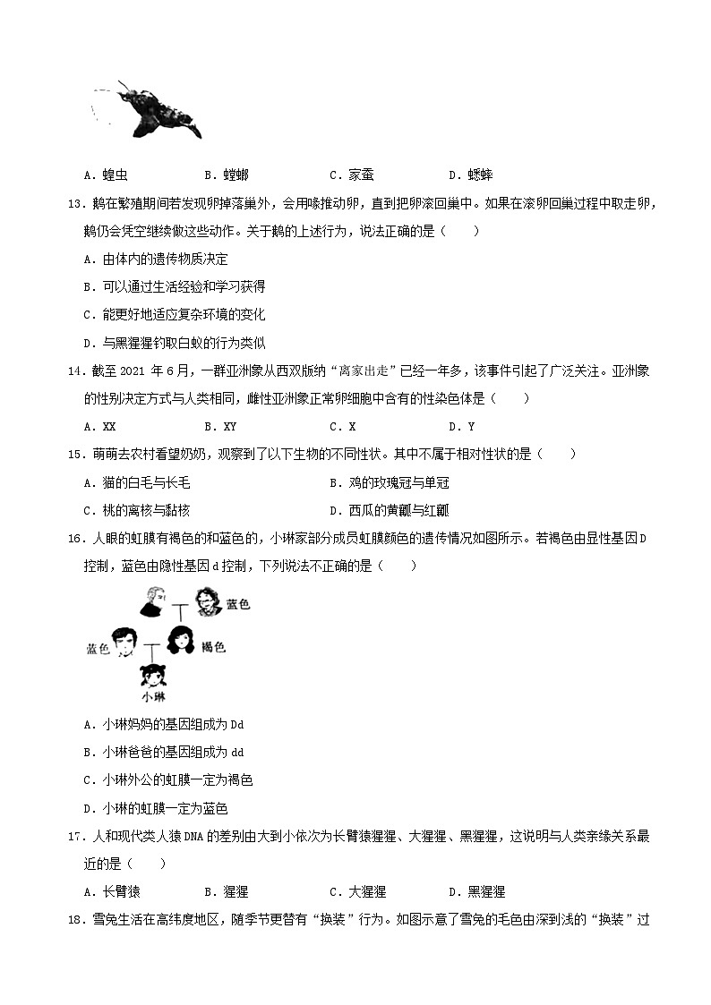 【全套精品专题】初中生物中考复习专题：模拟卷2（带答案）第3页