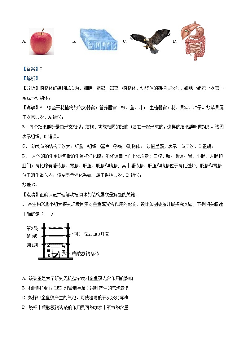 精品解析：湖北省随州市中考2021年中考生物试题（解析版）第2页
