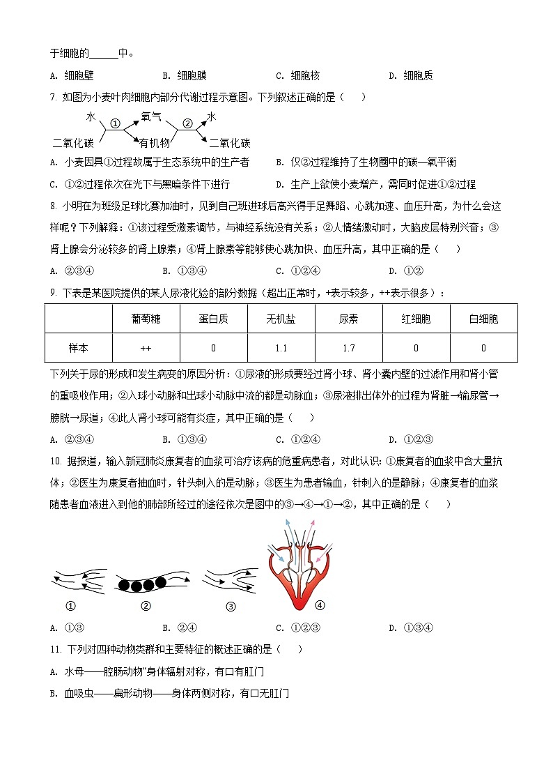精品解析：湖北省宜昌市2021年中考生物试题（原卷版）第2页