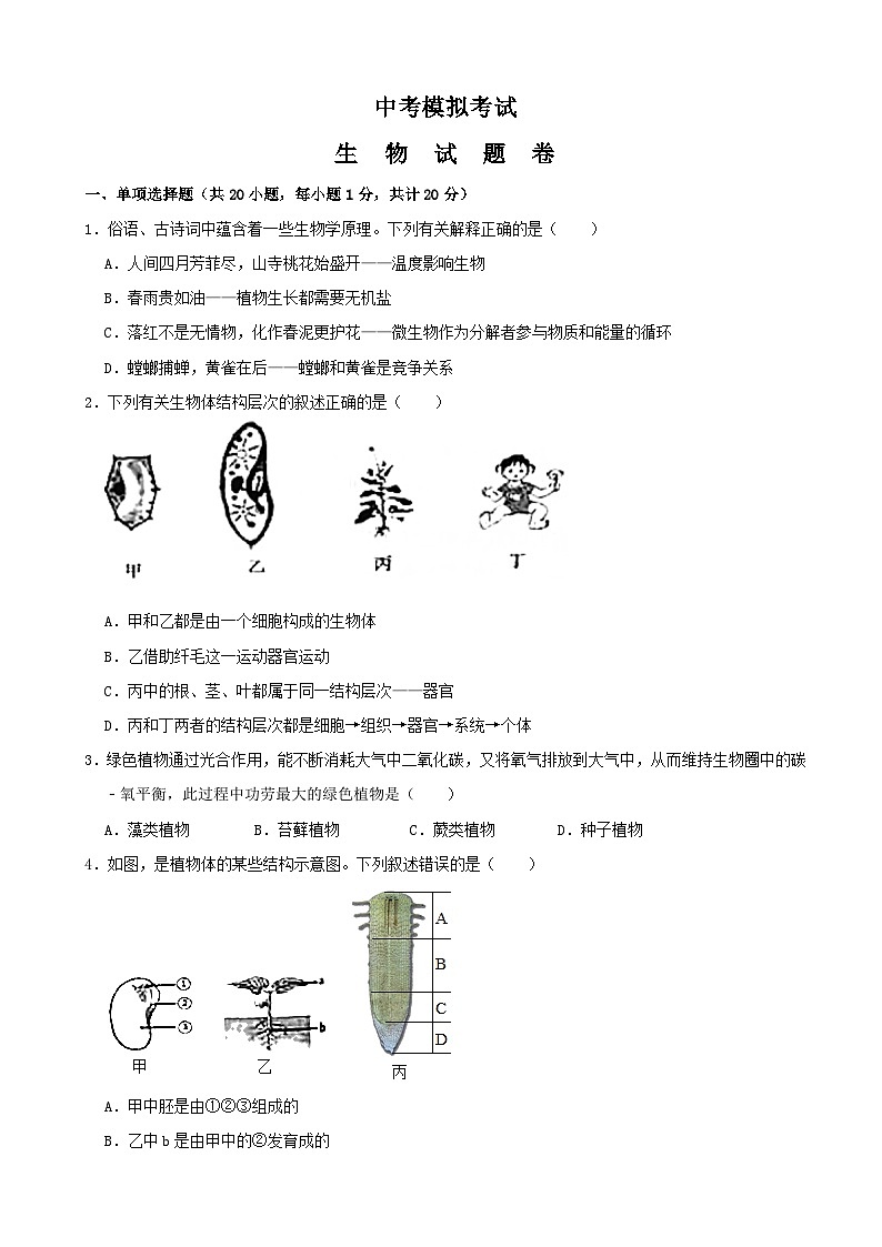 【全套精品专题】初中中考生物复习模拟卷4（附答案）第1页