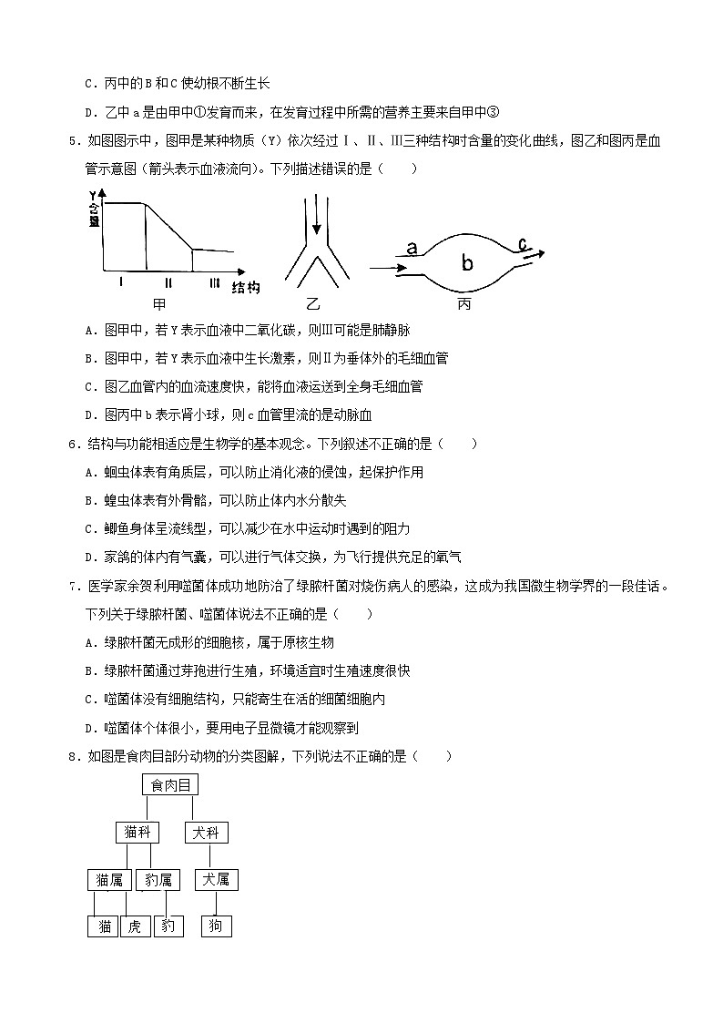 【全套精品专题】初中中考生物复习模拟卷4（附答案）第2页