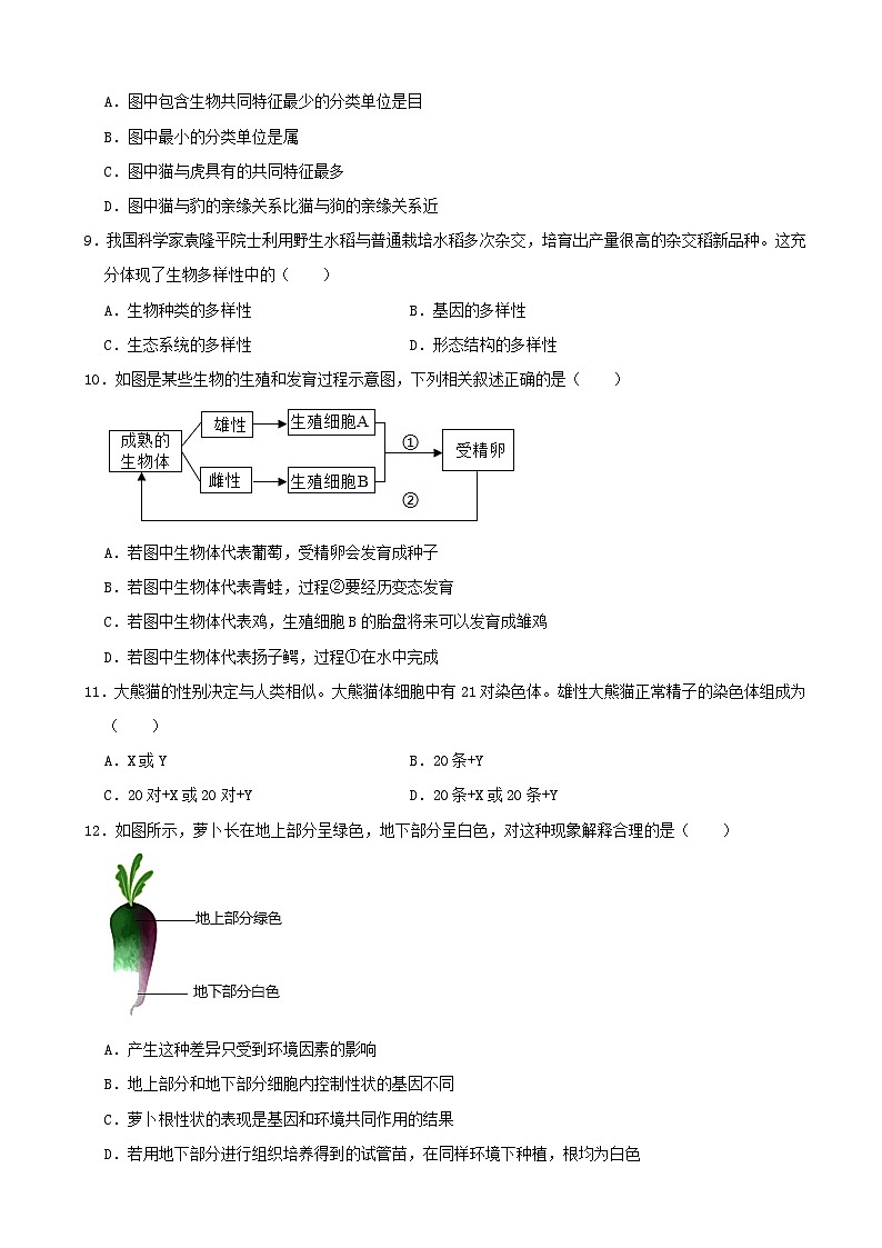 【全套精品专题】初中中考生物复习模拟卷4（附答案）第3页