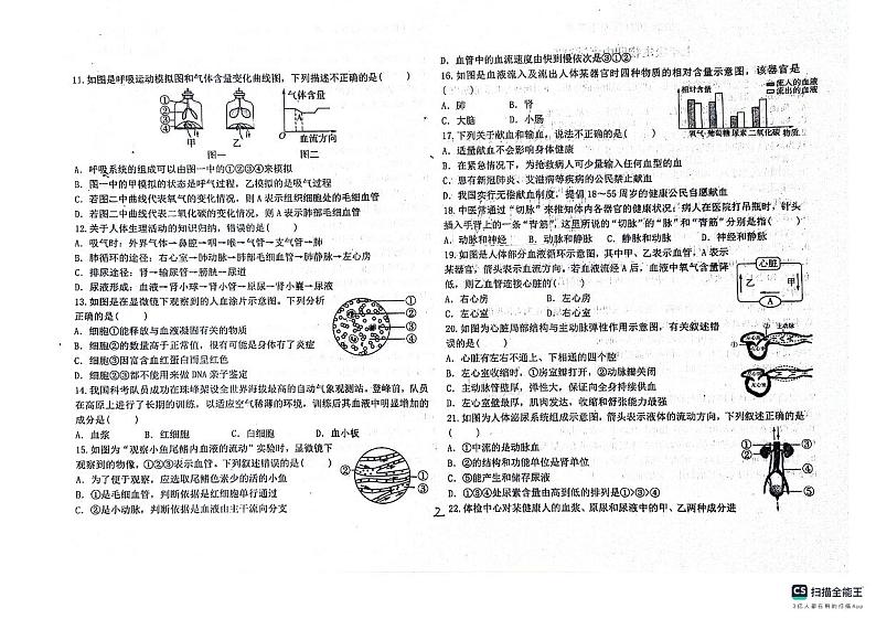 山东省德州市宁津县育新中学、德清中学2023-2024学年七年级下学期5月期中生物试题第2页