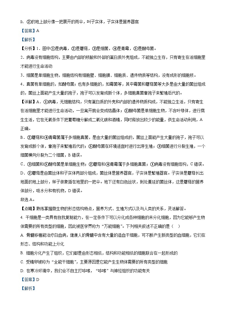 初二年级生物结业考试模拟试题 (带解析)第3页