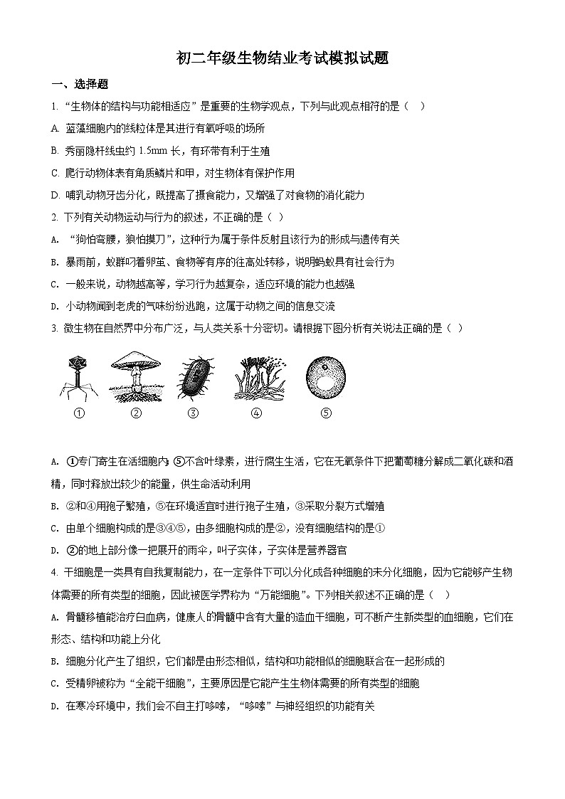 初二年级生物结业考试模拟试题 (1)第1页
