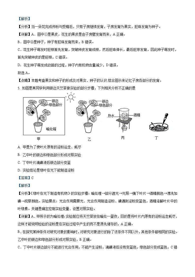 初中学业水平生物模拟考试 (6)03