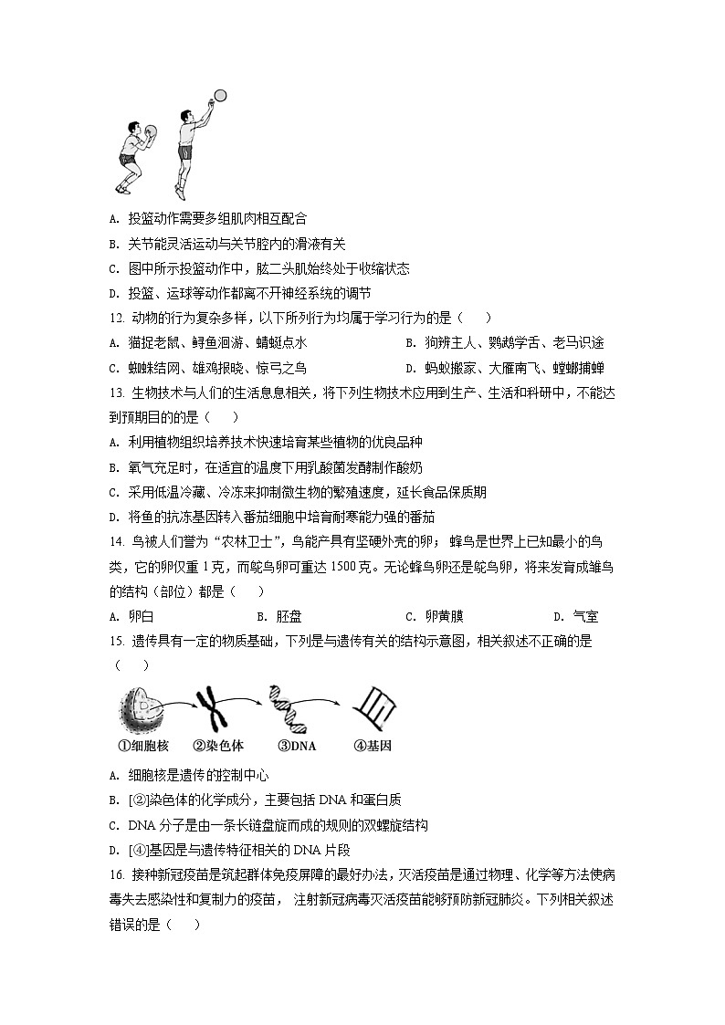 初中学业水平生物模拟考试03