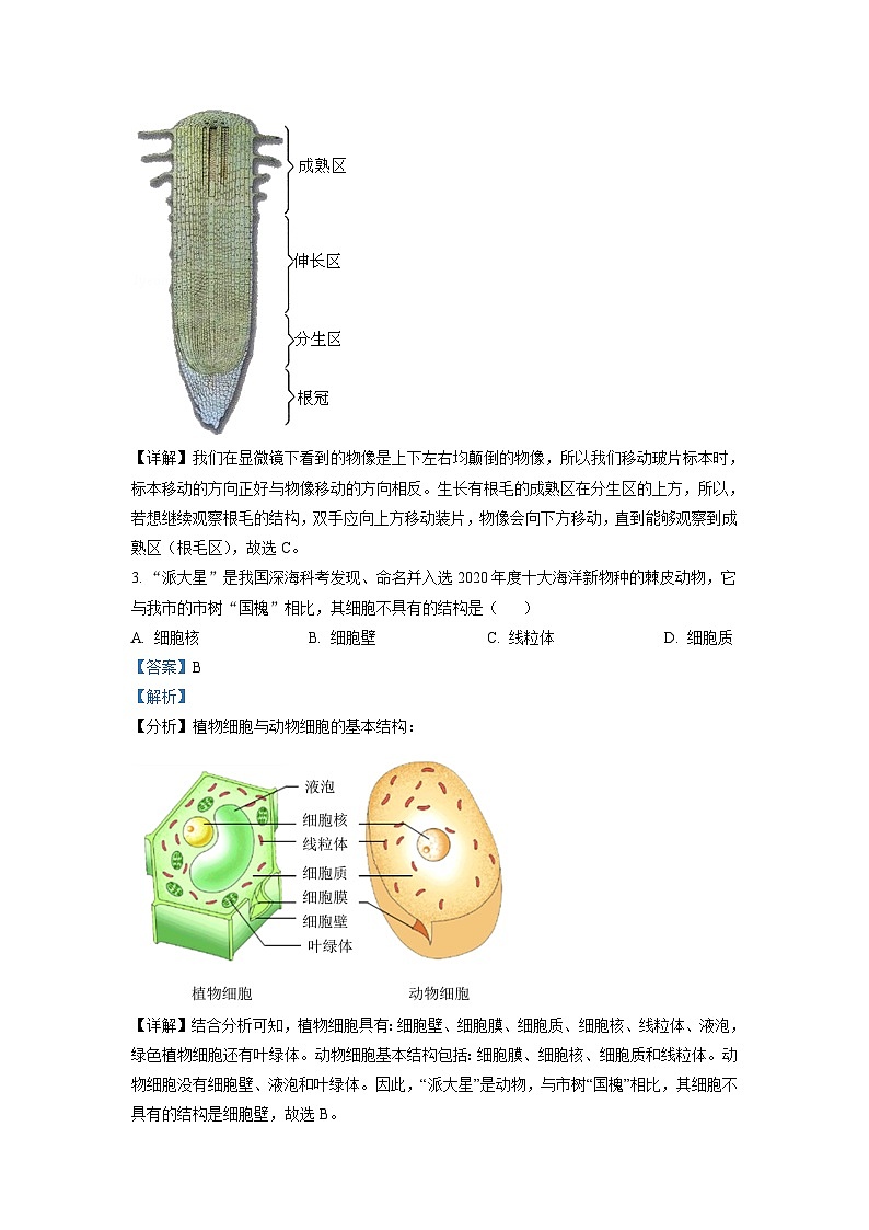 初中学业水平生物模拟考试02