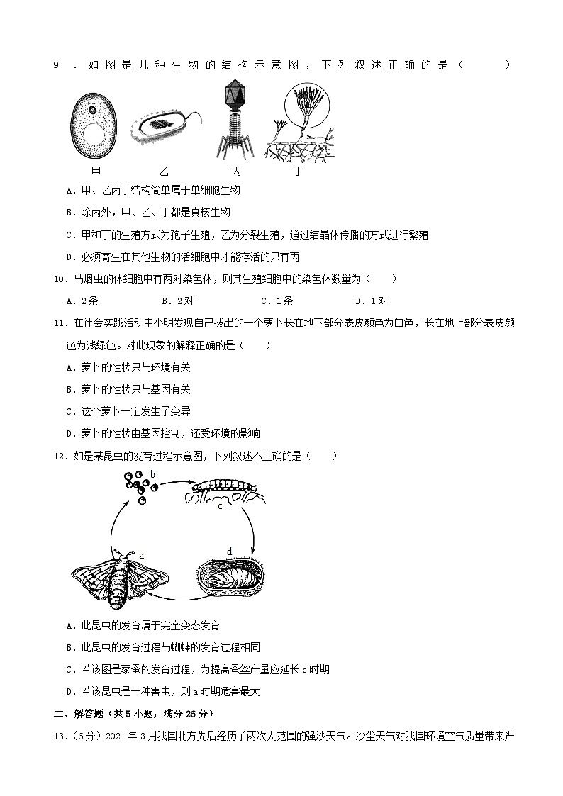 初中学业水平生物模拟考试 (8)第2页