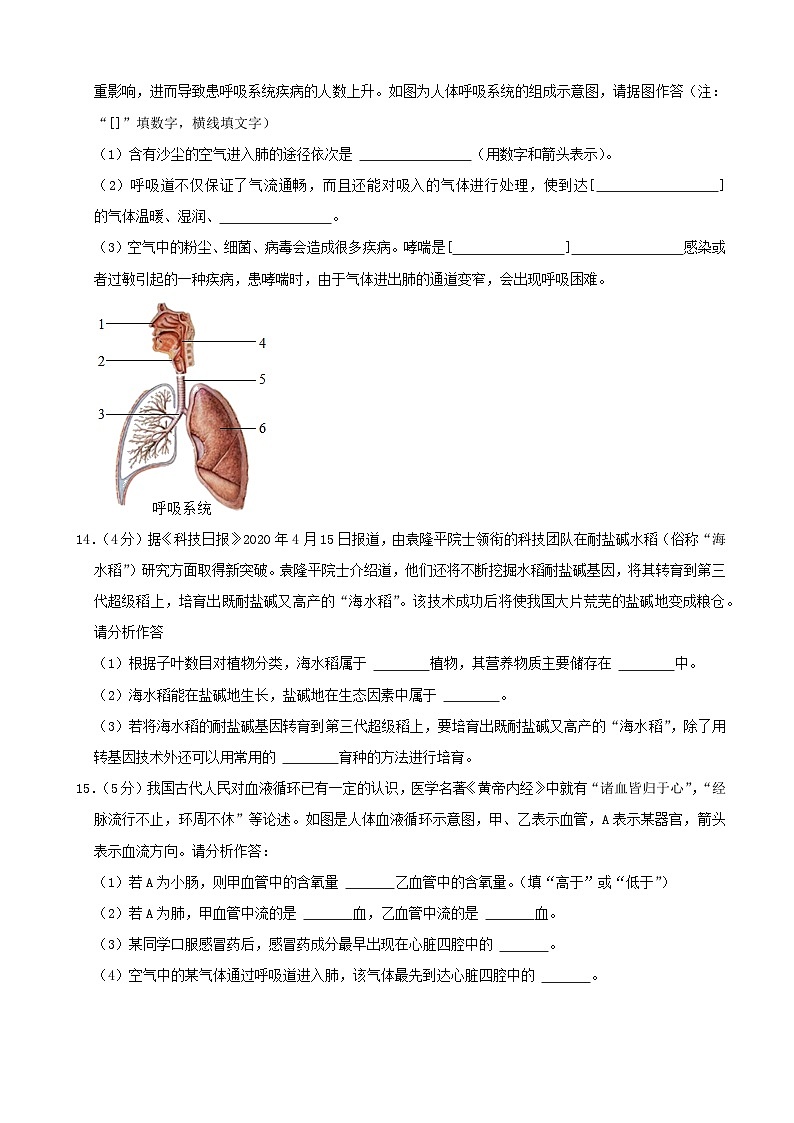 初中学业水平生物模拟考试 (8)第3页