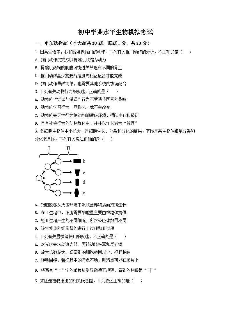 初中学业水平生物模拟考试第1页