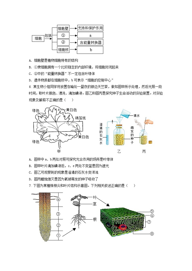 初中学业水平生物模拟考试第2页