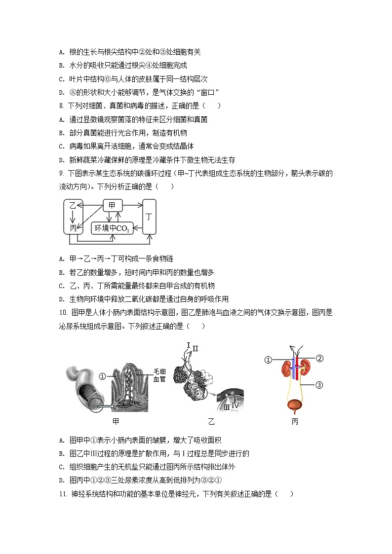 初中学业水平生物模拟考试第3页