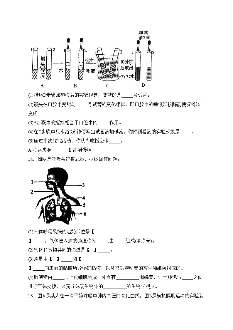 辽宁省铁岭市昌图县2023-2024学年七年级下学期4月期中考试生物试卷(含答案)第3页