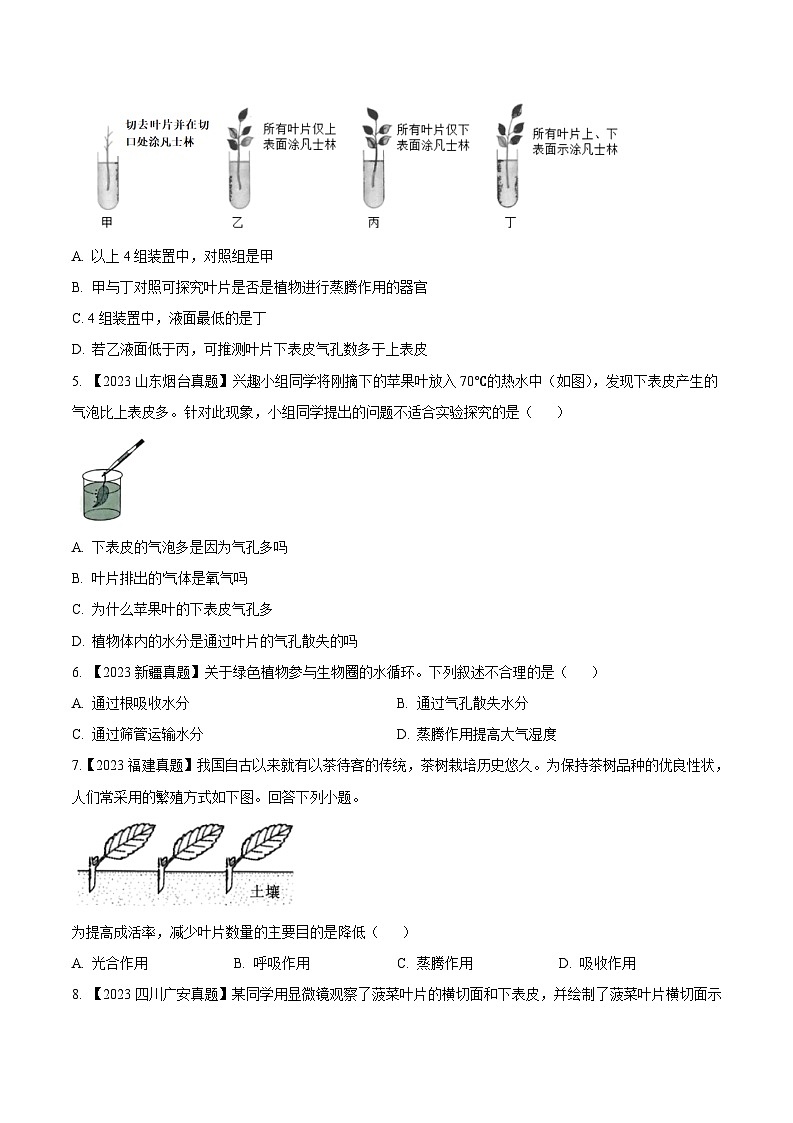 2024年中考生物真题分项汇编（全国通用）-专题05  绿色植物的蒸腾作用、光合作用和呼吸作用-学易金卷： （第1期）（原卷版+解析版）02