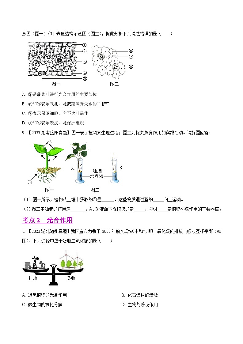 2024年中考生物真题分项汇编（全国通用）-专题05  绿色植物的蒸腾作用、光合作用和呼吸作用-学易金卷： （第1期）（原卷版+解析版）03