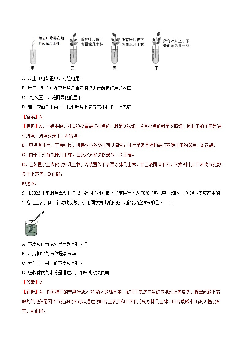 2024年中考生物真题分项汇编（全国通用）-专题05  绿色植物的蒸腾作用、光合作用和呼吸作用-学易金卷： （第1期）（原卷版+解析版）03