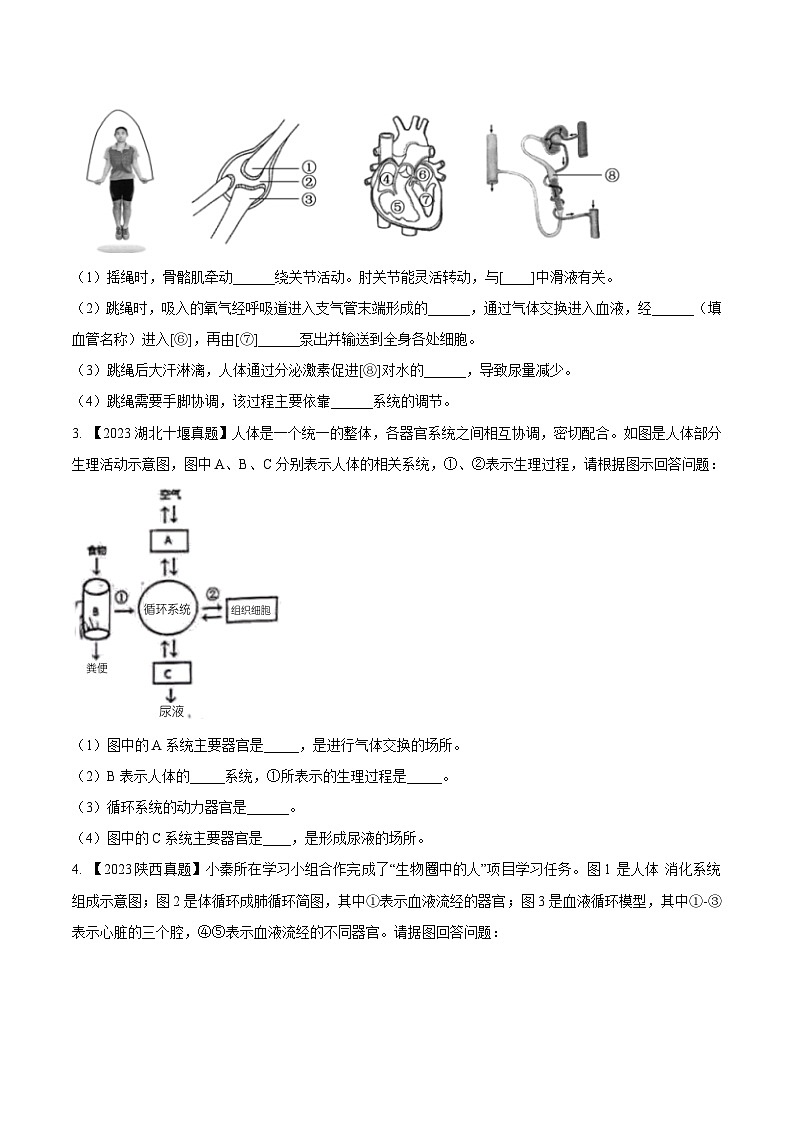 2024年中考生物真题分项汇编（全国通用）-专题20  人体生理综合考查- 学易金卷： （第1期）（原卷版+解析版）03