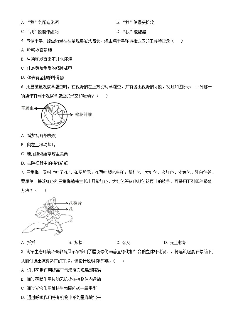 2024年 广西南宁市中考一模生物试题（原卷版+解析版）02