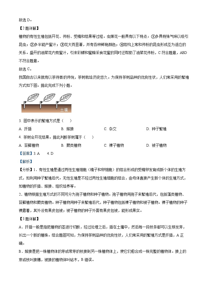 2024年湖北省丹江口市中考适应性训练生物试题（解析版）第2页