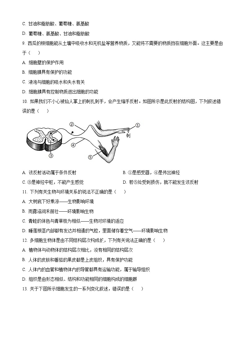 2024年江苏省宿迁市泗阳县中考二模生物试题（原卷版+解析版）03
