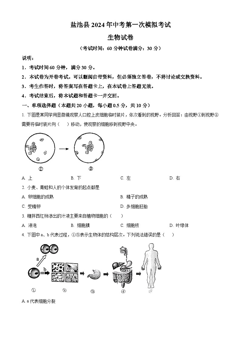 2024年宁夏吴忠市盐池县中考一模生物试题（原卷版+解析版）01
