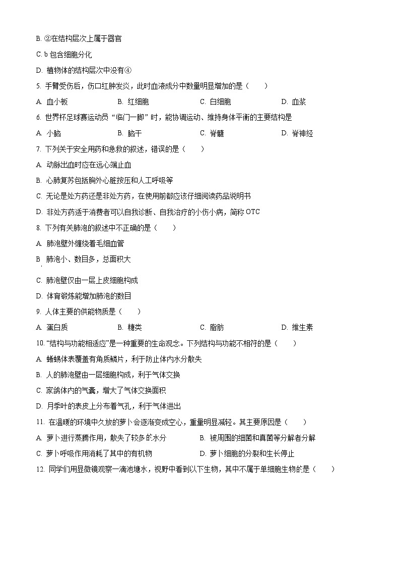 2024年宁夏吴忠市盐池县中考一模生物试题（原卷版+解析版）02