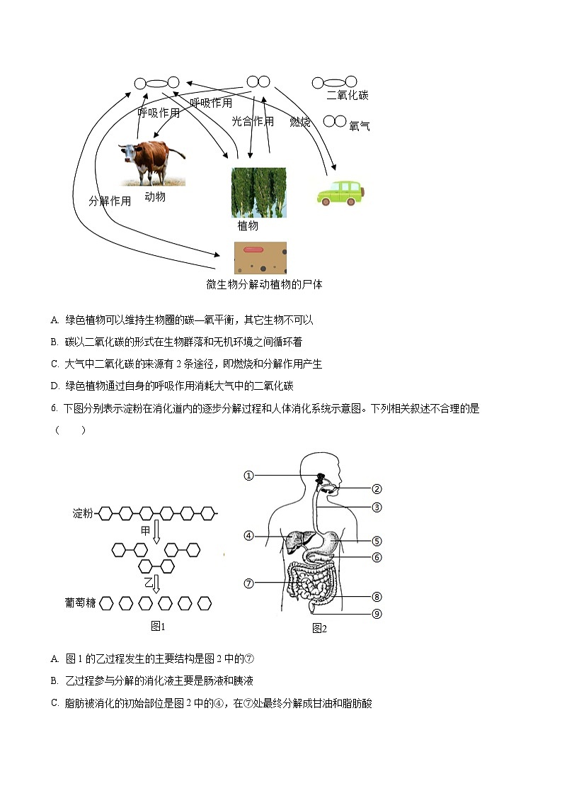 2024年山东省菏泽市东明县中考一模生物试题（原卷版+解析版）03