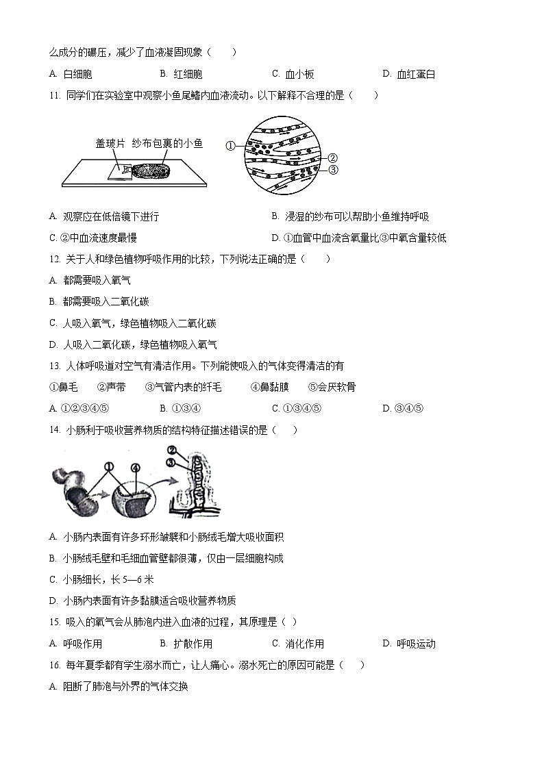 贵州省遵义市红花岗区等5地2023-2024学年七年级下学期期中生物试题（原卷版）第3页