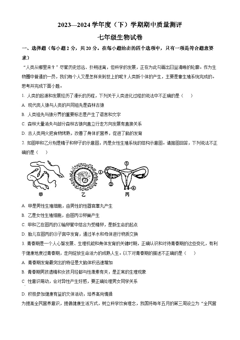 湖北省孝感市汉川市2023-2024学年七年级下学期期中生物试题（原卷版+解析版）01