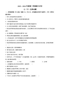 湖北省宜昌市宜都市2023-2024学年七年级下学期期中生物试题（原卷版+解析版）