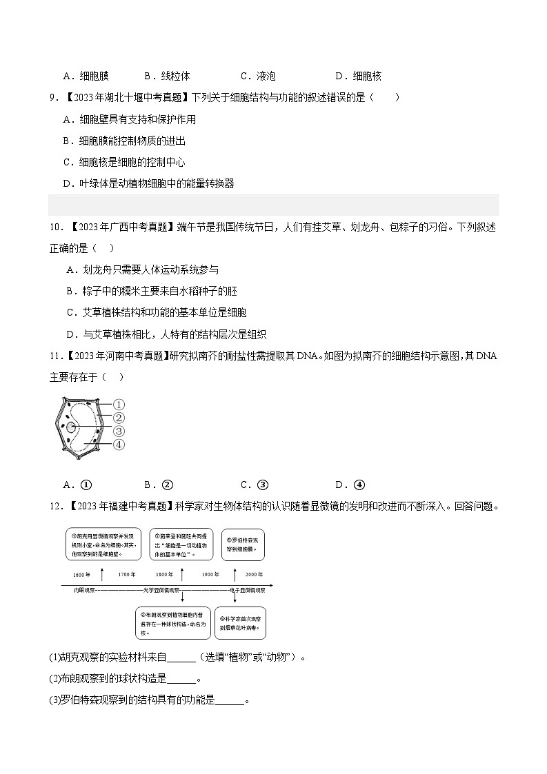 2024年中考生物真题分项汇编（全国通用）-专题02 生物体的结构层次（原卷版+解析版）02