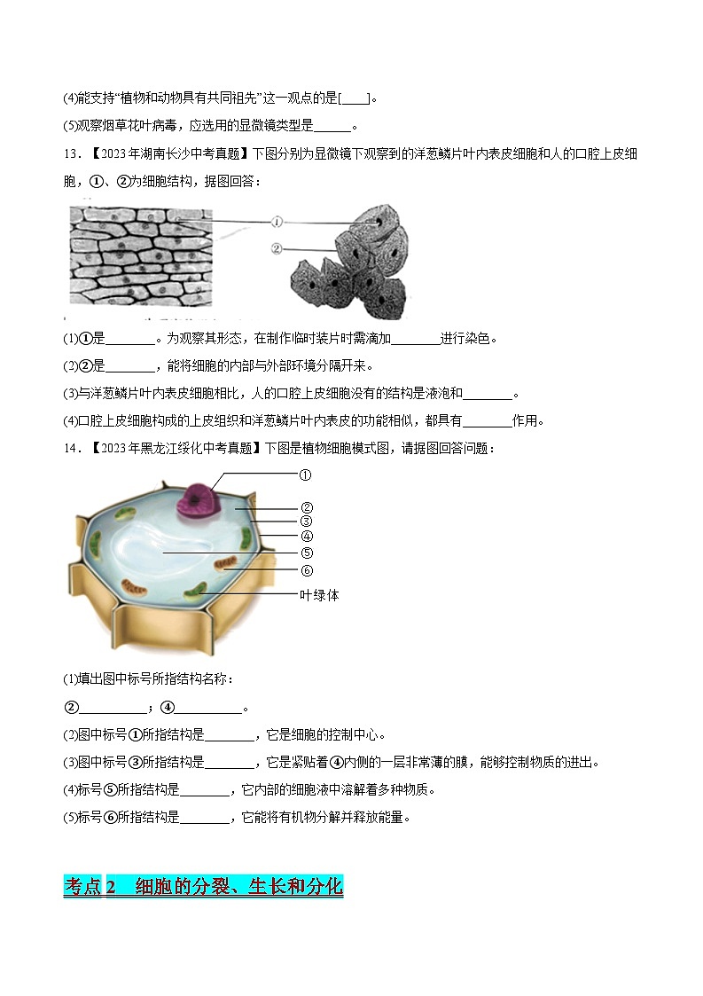 2024年中考生物真题分项汇编（全国通用）-专题02 生物体的结构层次（原卷版+解析版）03