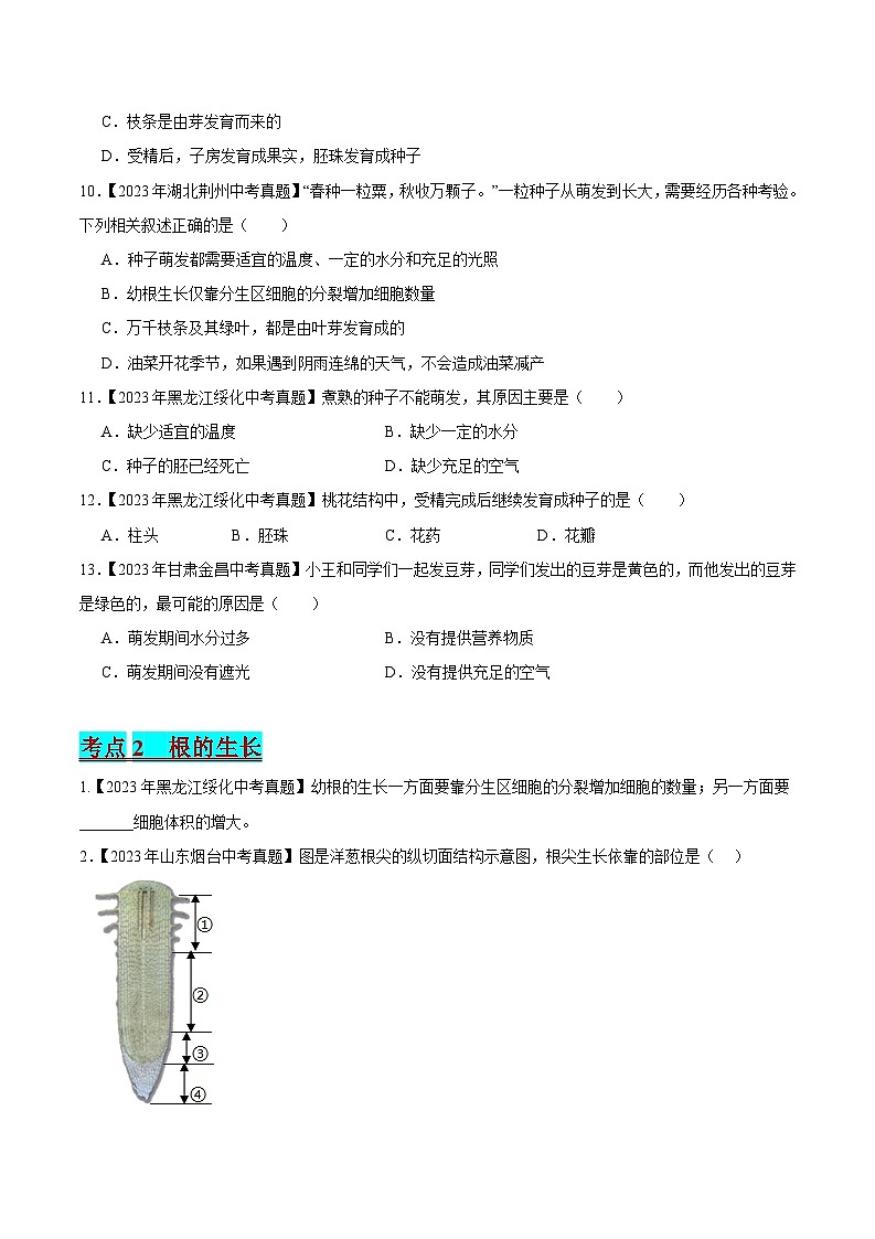 2024年中考生物真题分项汇编（全国通用）-专题03 绿色开花植物的一生（原卷版）第2页