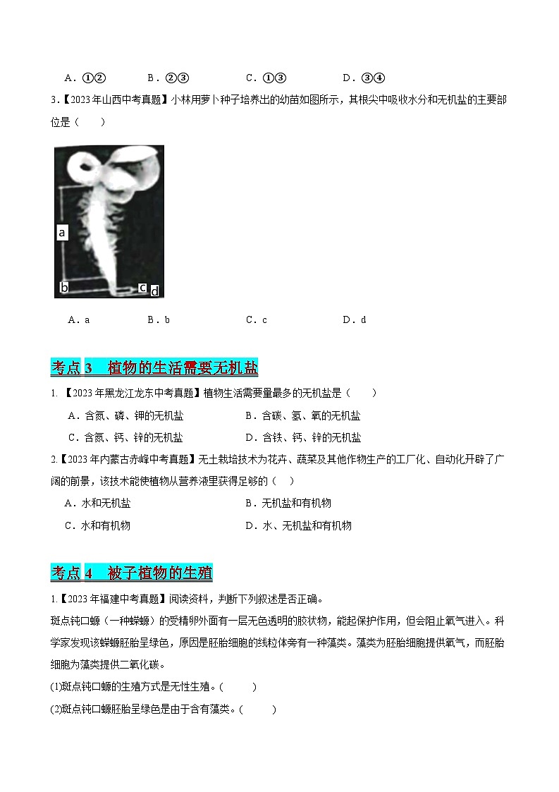 2024年中考生物真题分项汇编（全国通用）-专题03 绿色开花植物的一生（原卷版）第3页