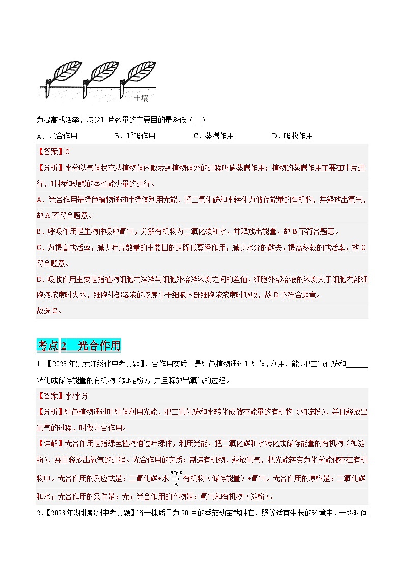 2024年中考生物真题分项汇编（全国通用）-专题04 绿色植物的蒸腾作用、光合作用和呼吸作用（解析版）第3页