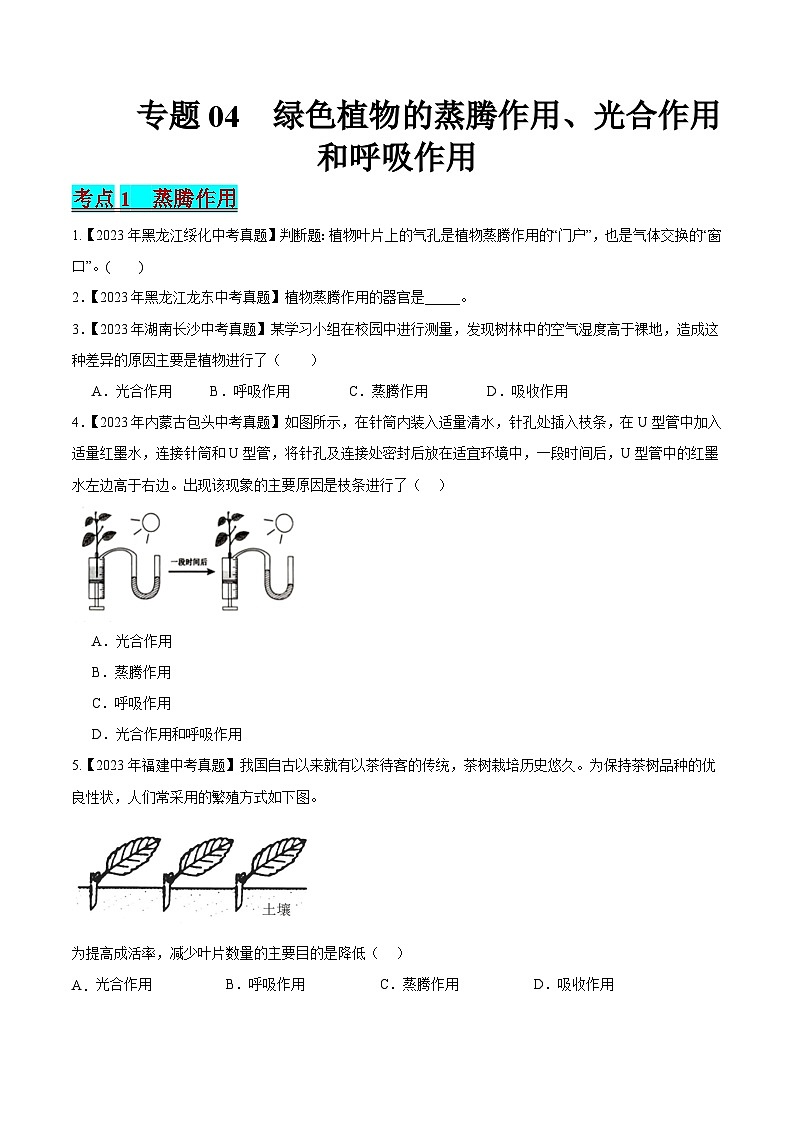 2024年中考生物真题分项汇编（全国通用）-专题04 绿色植物的蒸腾作用、光合作用和呼吸作用（原卷版）第1页