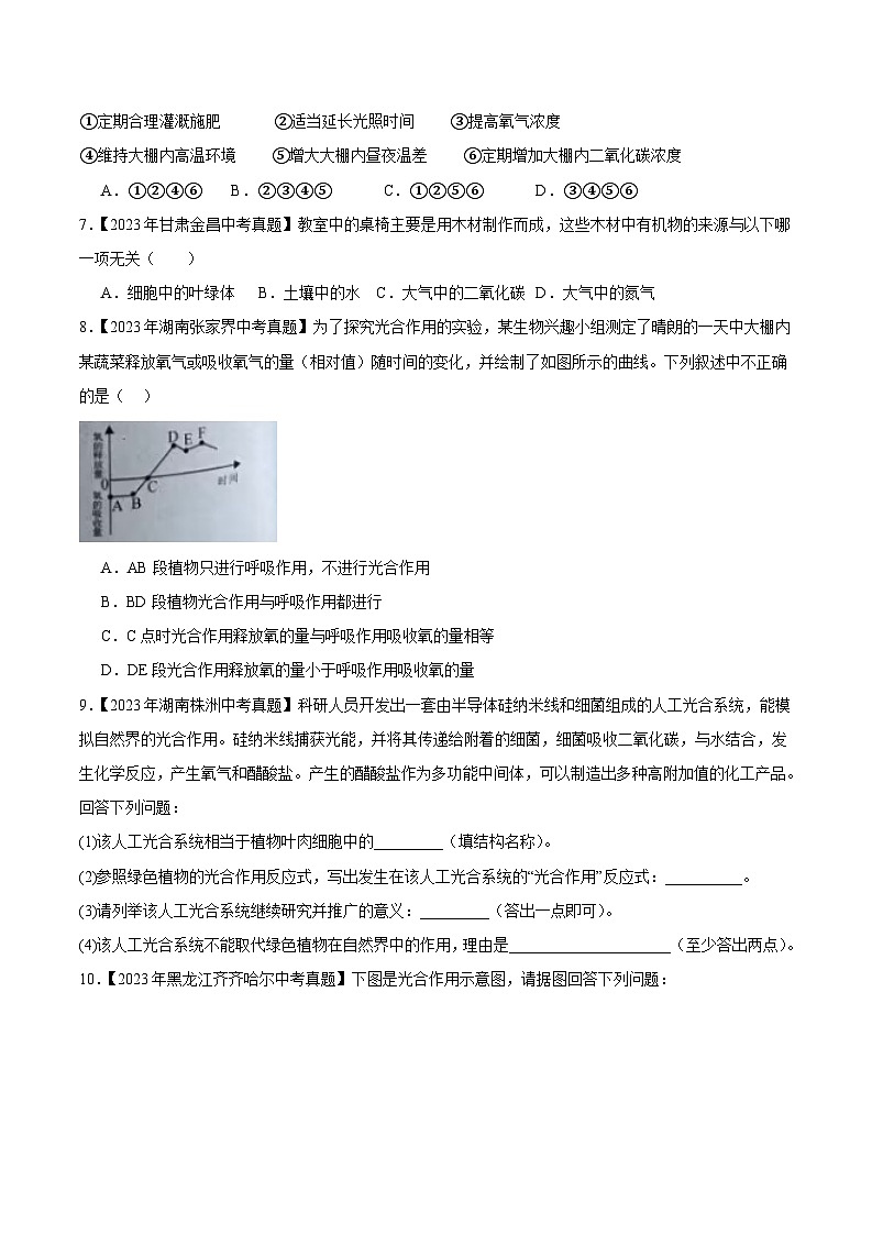 2024年中考生物真题分项汇编（全国通用）-专题04 绿色植物的蒸腾作用、光合作用和呼吸作用（原卷版）第3页