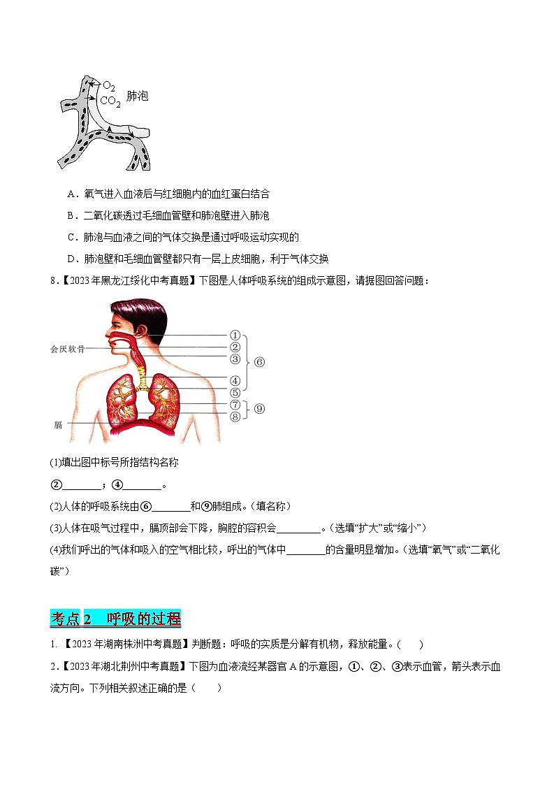 2024年中考生物真题分项汇编（全国通用）-专题06 人体呼吸（原卷版+解析版）02