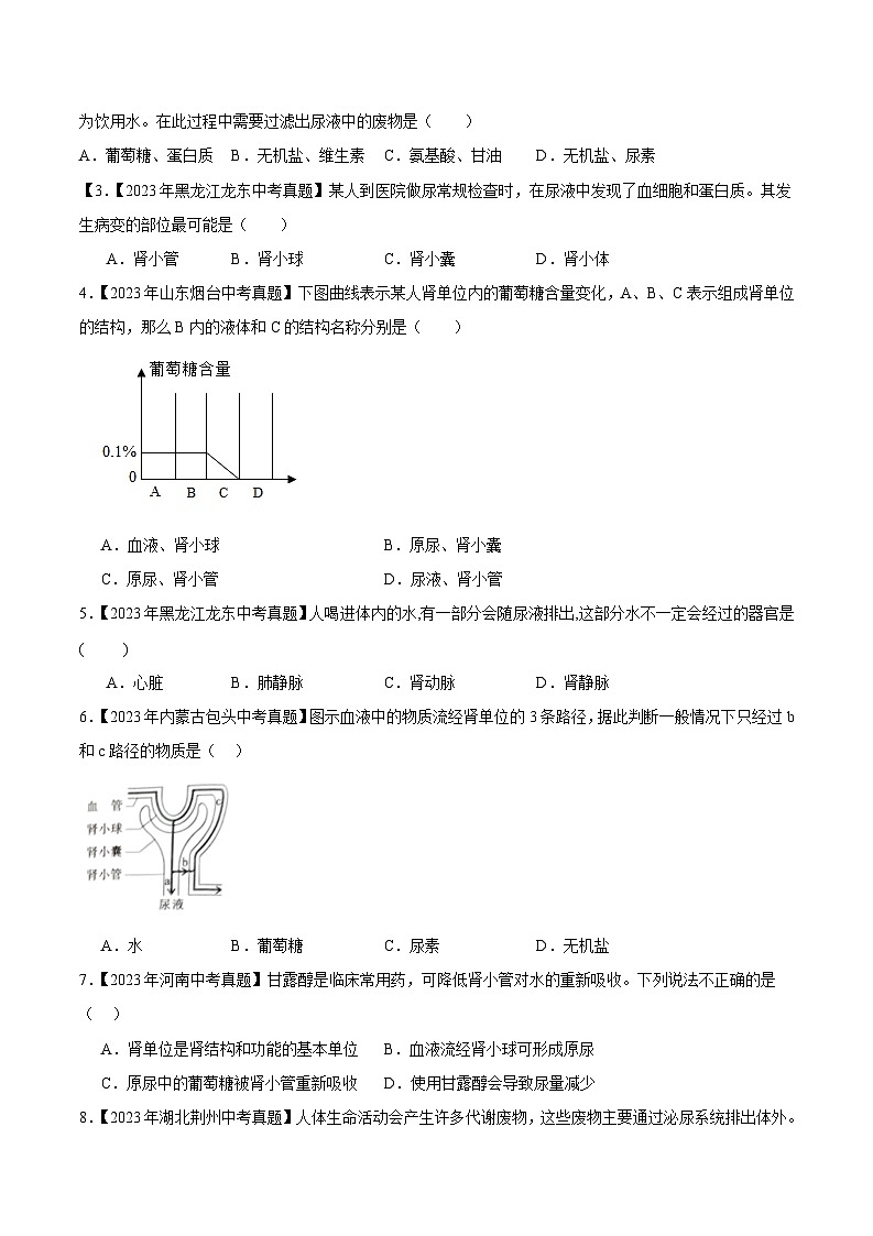2024年中考生物真题分项汇编（全国通用）-专题08 人体内废物的排出（原卷版+解析版）02
