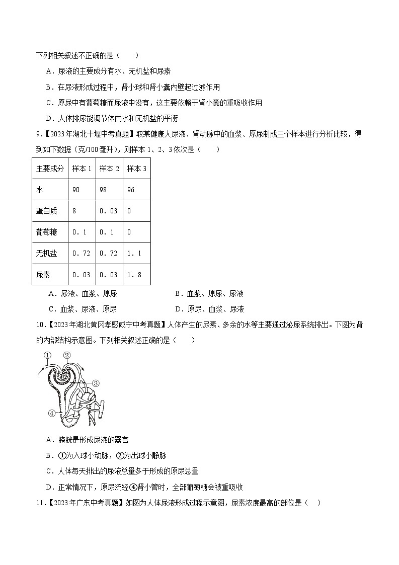 2024年中考生物真题分项汇编（全国通用）-专题08 人体内废物的排出（原卷版+解析版）03