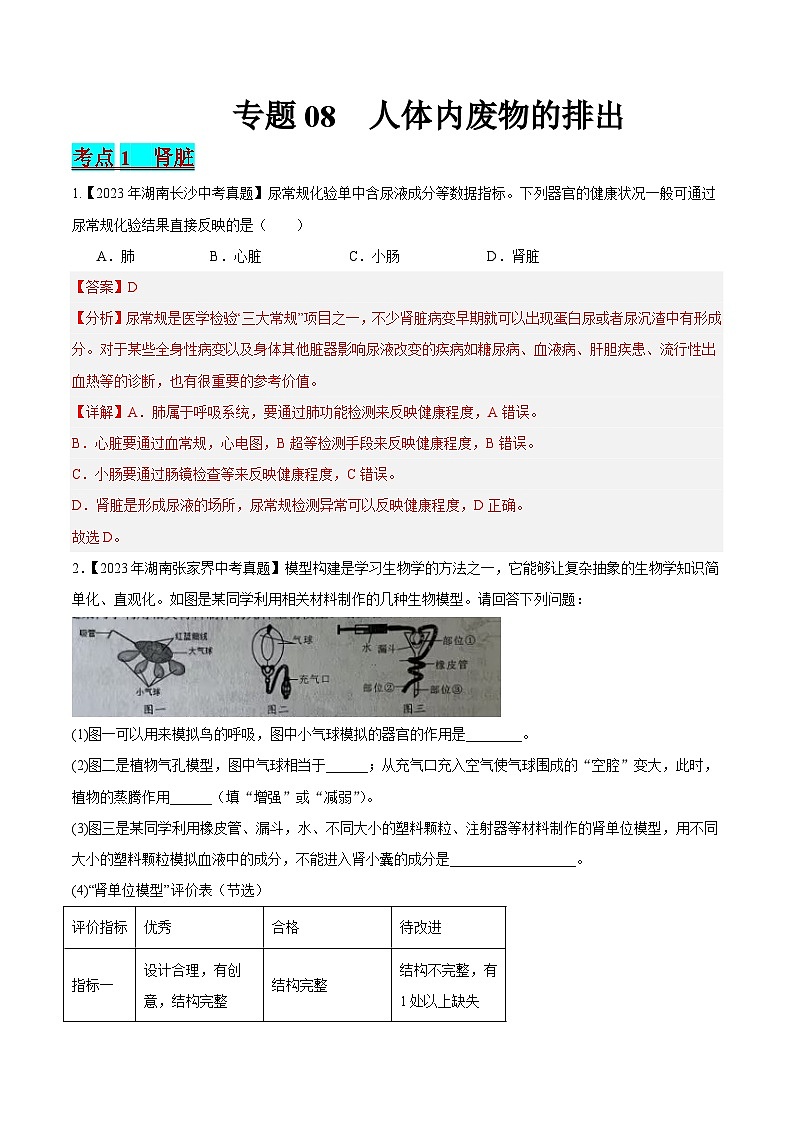 2024年中考生物真题分项汇编（全国通用）-专题08 人体内废物的排出（原卷版+解析版）01