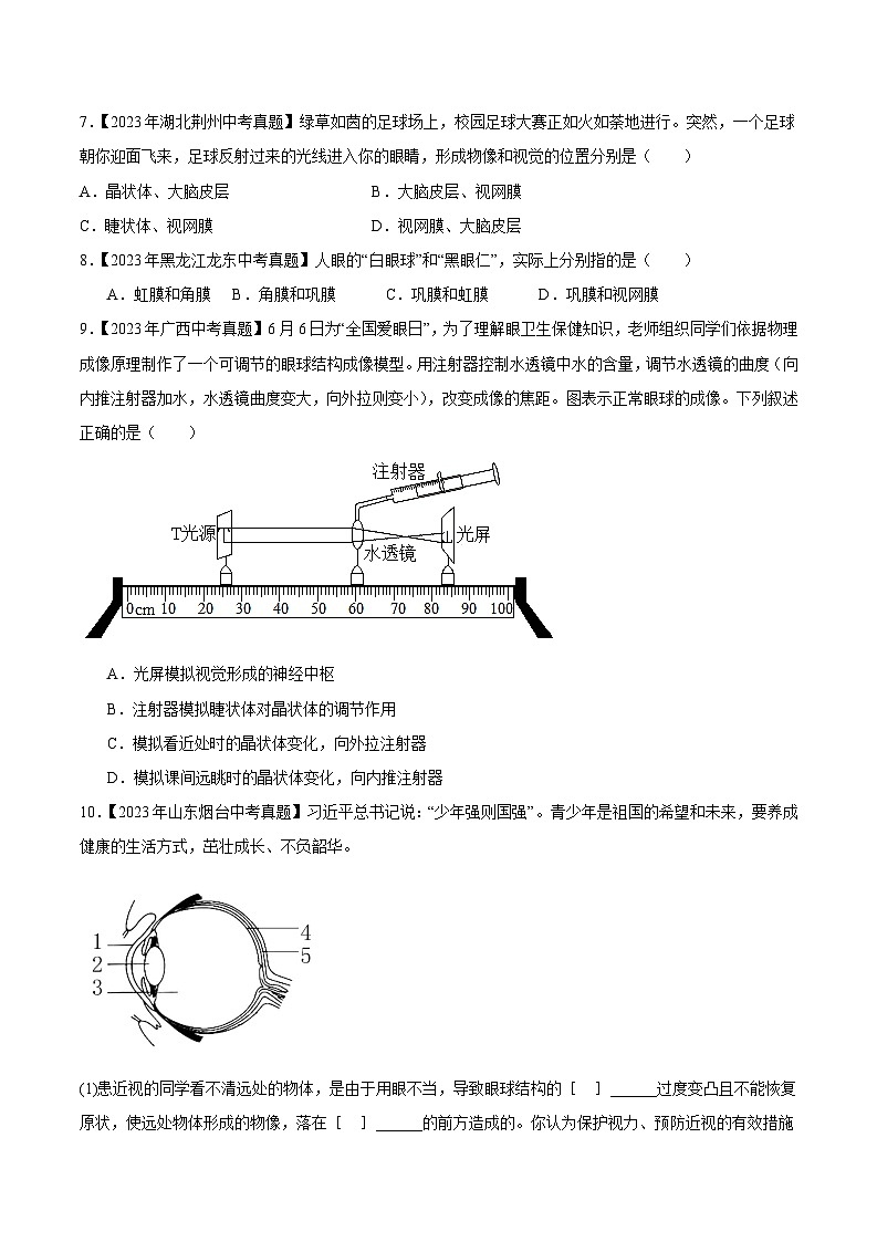 2024年中考生物真题分项汇编（全国通用）-专题09 人体生命活动的调节（原卷版+解析版）02