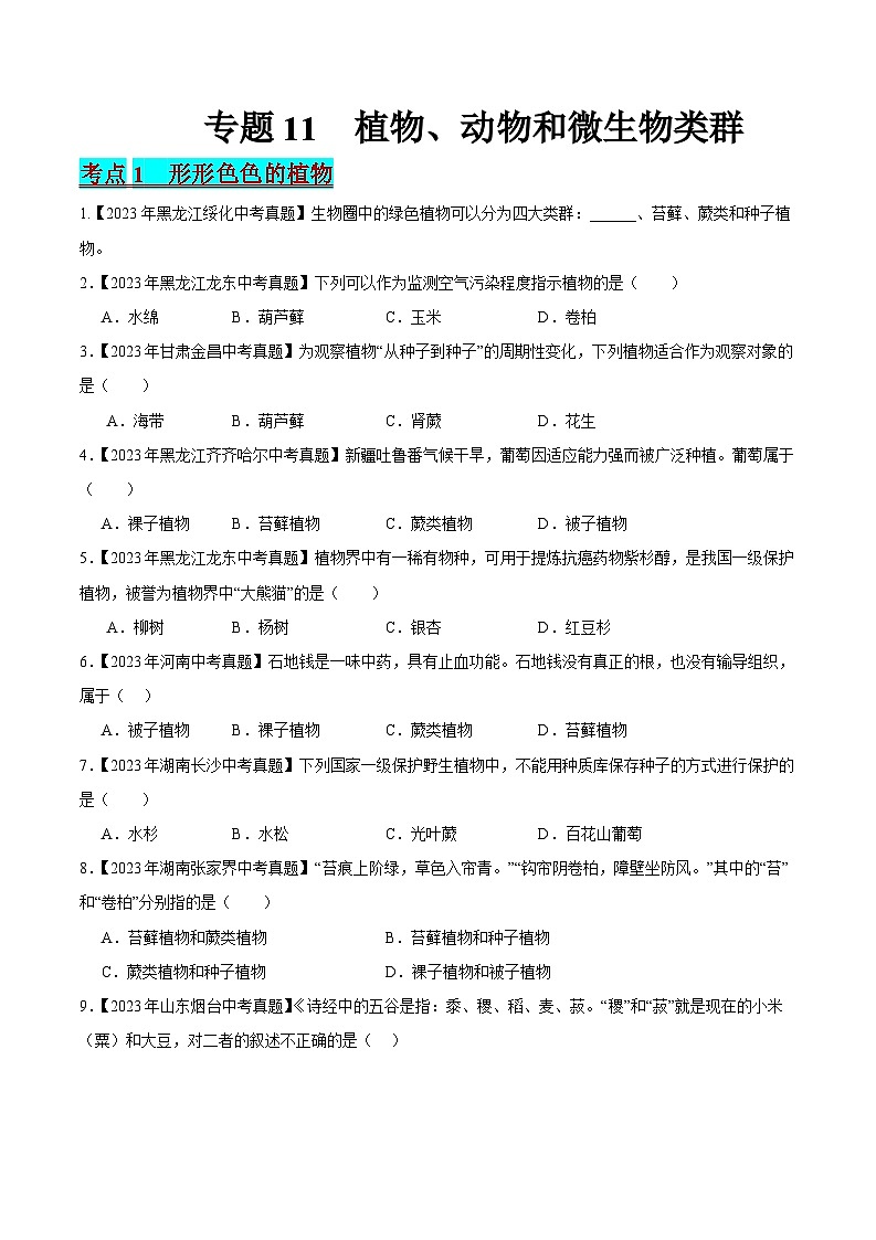 2024年中考生物真题分项汇编（全国通用）-专题11 植物、动物和微生物类群（原卷版）第1页